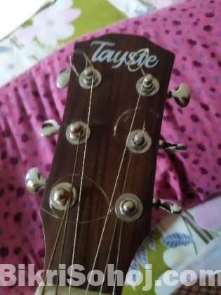 Guitar গিটার